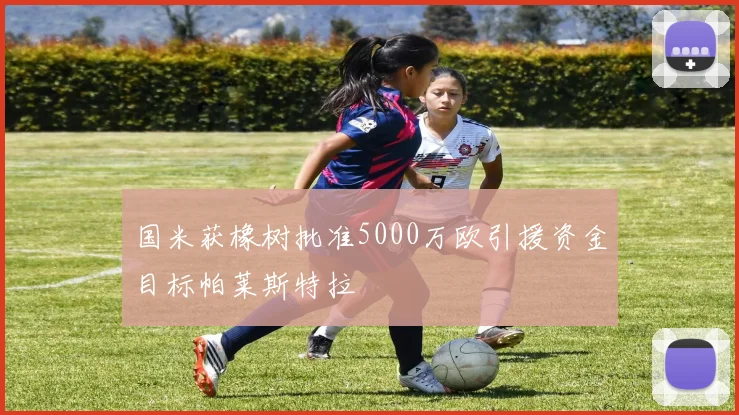 国米获橡树批准5000万欧引援资金目标帕莱斯特拉